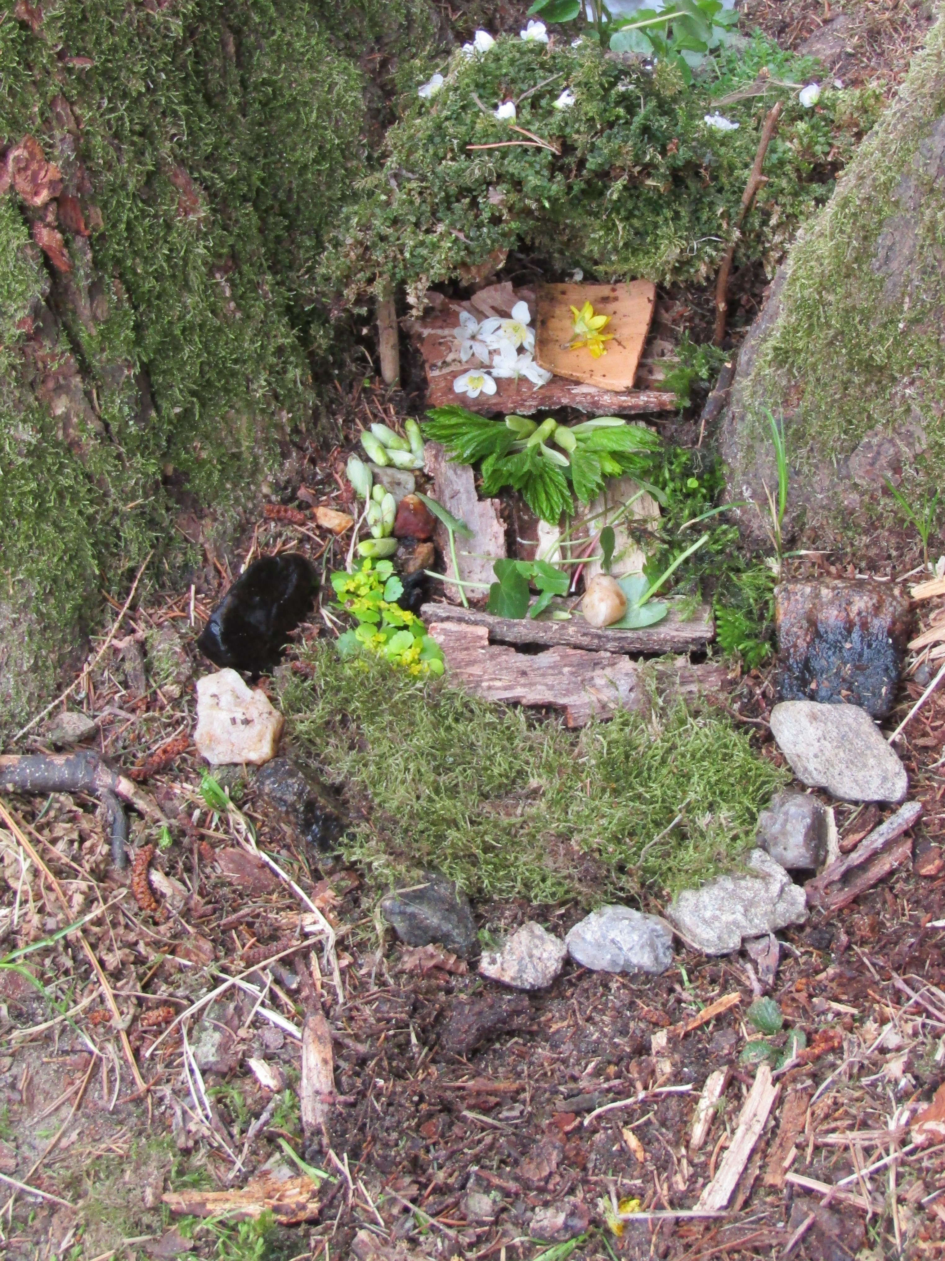 7. mechový domeček