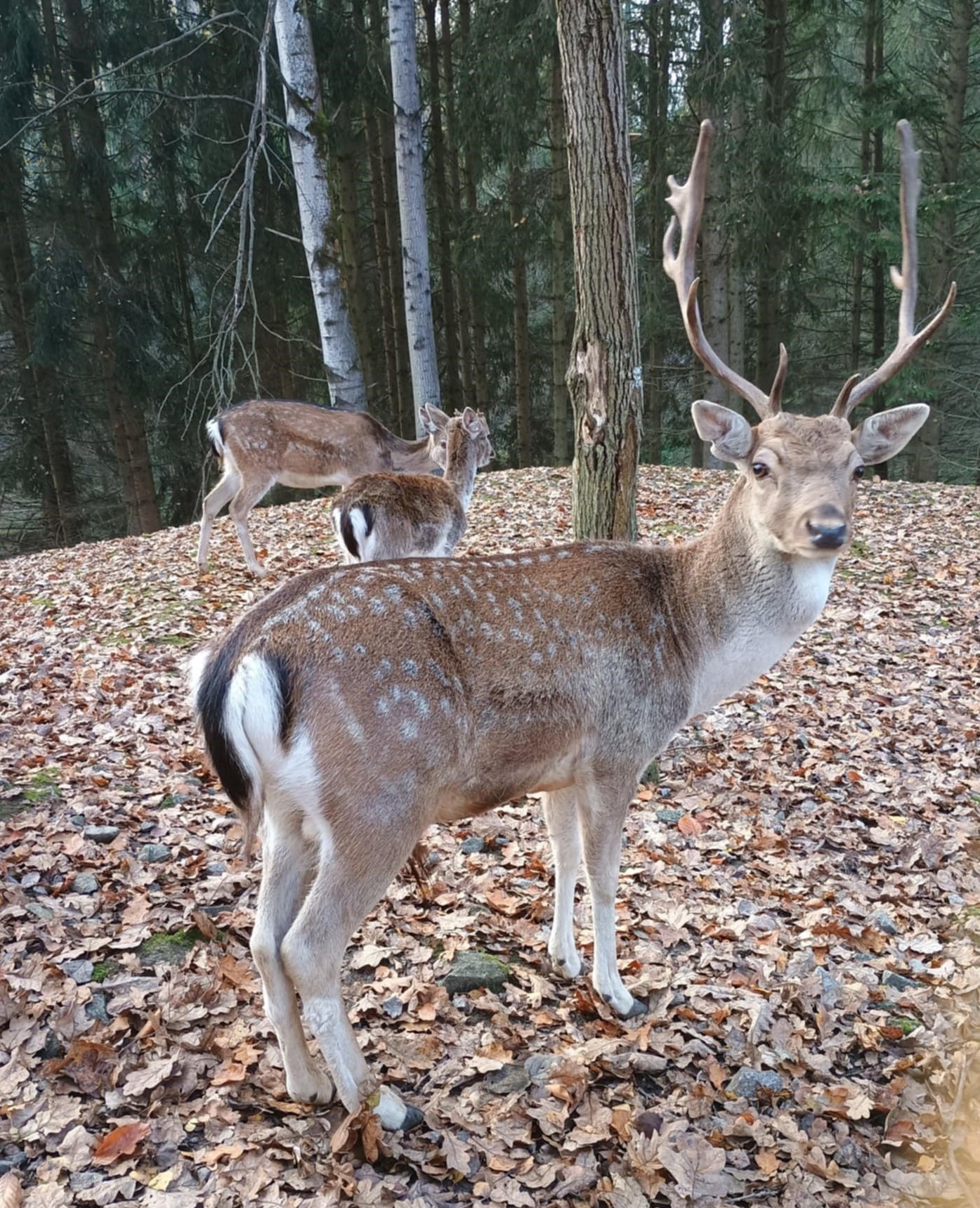 9.